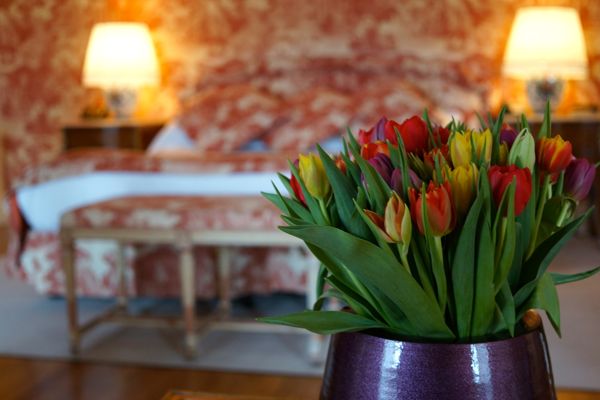 Five Star Luxury Amsterdam Where to Stay
