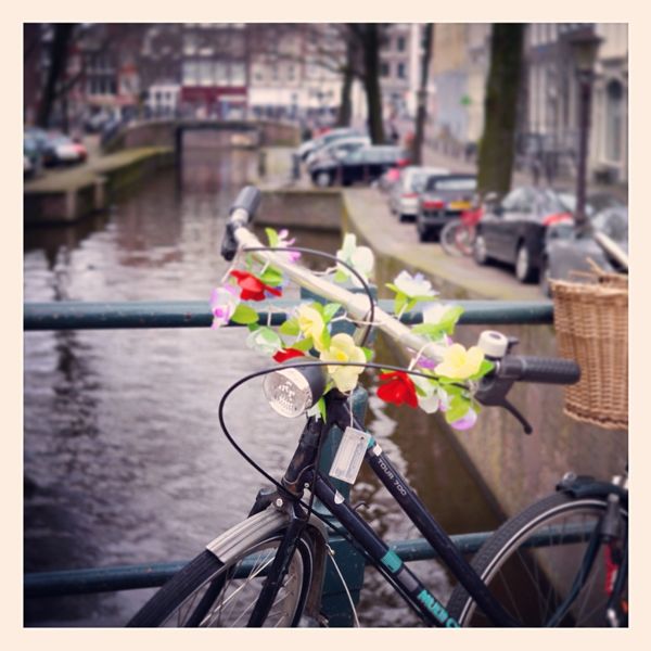 Picturesque Canals Amsterdam