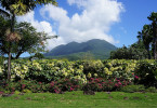 what to see nevis
