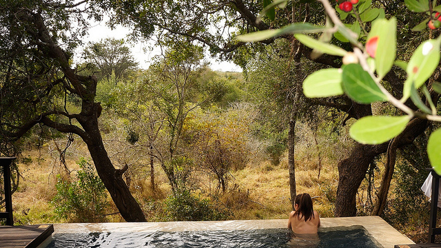 Where to Stay South Africa Safari Honeymoon